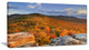 Endless Forests in the Fall Foliage, Landscape Canvas Art Print, 32"x16"