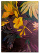 ''Tropical Evening'' Canvas Art by Sheila Golden