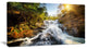 Waterfall through the Forest, Landscape Canvas Art Print, 40x20