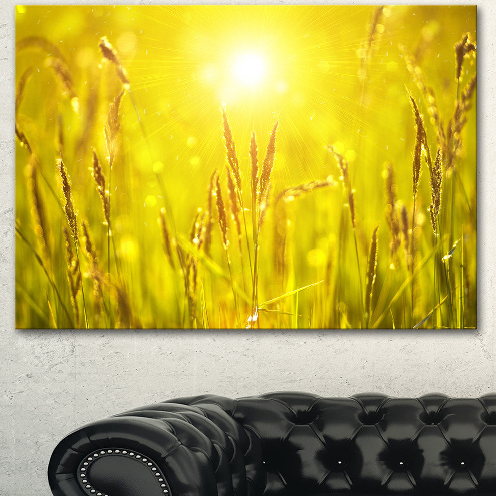 Yellow Grass Flower at Sunset, Landscape Canvas Art Print, 60"x28"