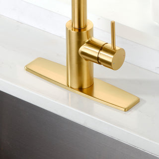 Luxier Kitchen Faucet Single-Hole Deck Plate, 10", Brushed Gold