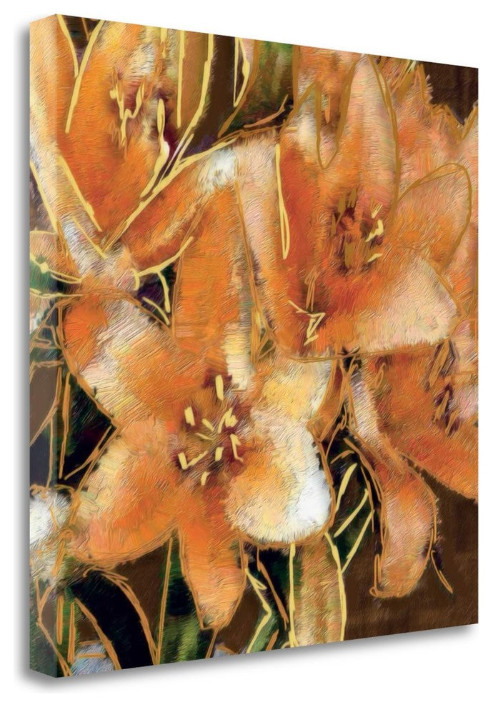 "Apricot Dream I" By Lane Ashfield, Giclee Print on Gallery Wrap Canvas