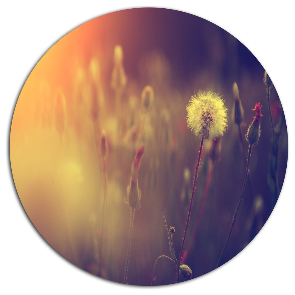 Vintage Photo Of Dandelion Field, Flower Disc Metal Artwork, 11"