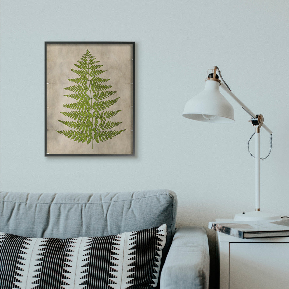 Plant Drawing Green Parchment Design, 24"x30", Black Frame
