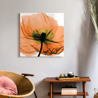 "Poppy Orange" Frameless Free Floating Panel Graphic Wall Art, 24"x24"