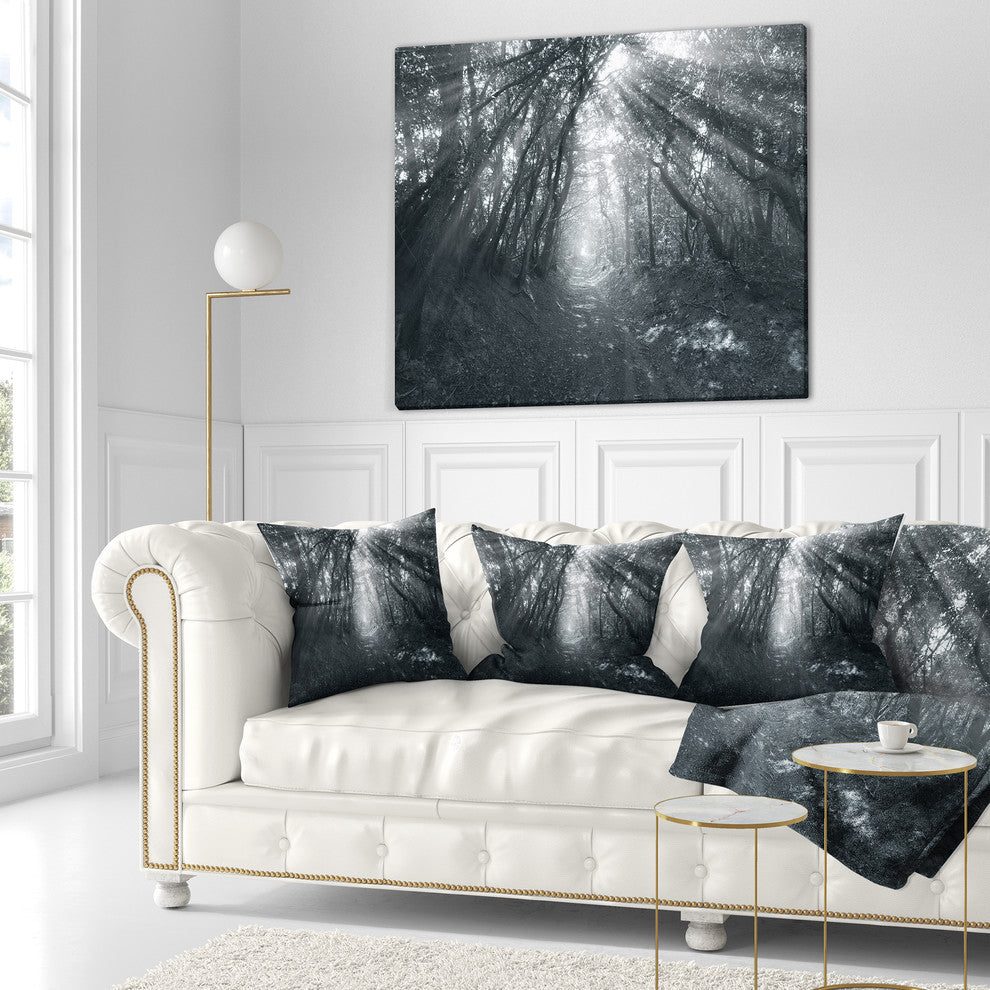 Sun Rays Through Gray Trees Landscape Photography Throw Pillow, 16"x16"