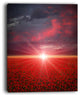 "Red Poppies Field At Sunset" Modern Landscape Wall Art Canvas, 12"x20"