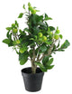23" Artificial Potted Bonsai-Style Decorative Green Apple Tree