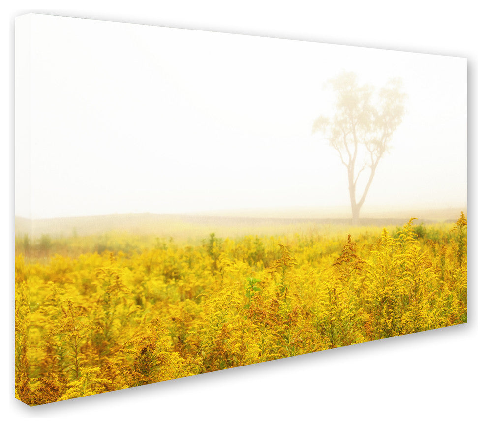 PIPA Fine Art 'Dreams of Goldenrod and Fog' Canvas Art, 47x30