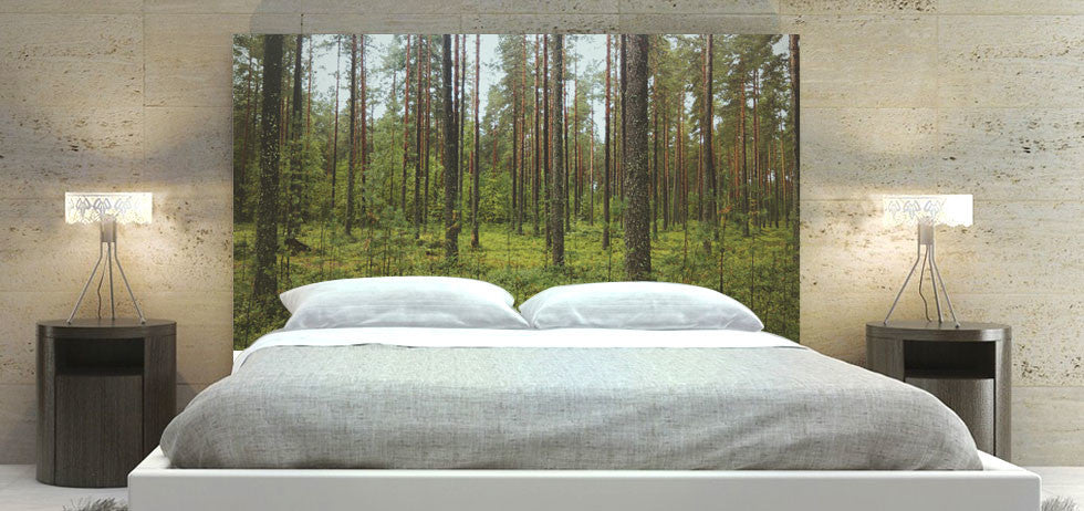 "Thin Tree Forest" Headboard