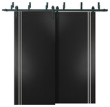 Barn Bypass Doors 84 x 84 | Planum 0310 Matte Black with  | Sturdy 8ft