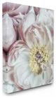 Soft Flower Bloom Neutral Pink White Photograph, 30"x40"