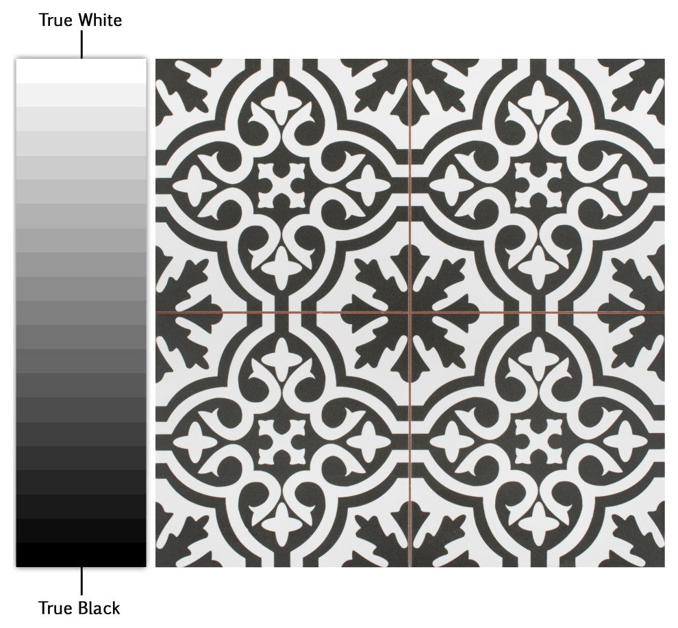 Berkeley Encaustic Ceramic Floor and Wall Tile, Black