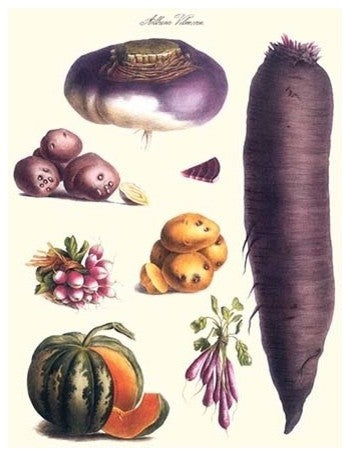 Vegetables; Melon, Potato, Carrot, Purple, Raddish - Canvas Poster 20" x 30"