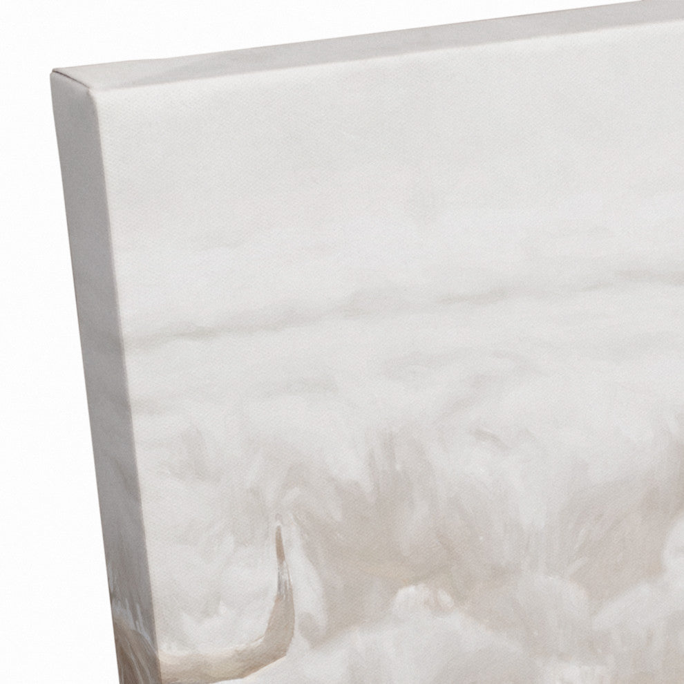 Light and Creamy Highland 12x18 Canvas Wall Art