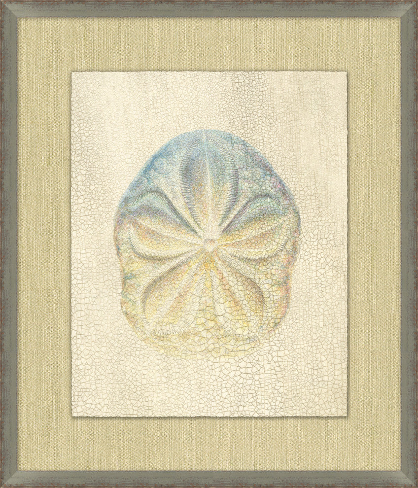 Shell Elegance 5, Giclee Reproduction Artwork