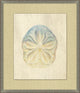 Shell Elegance 5, Giclee Reproduction Artwork