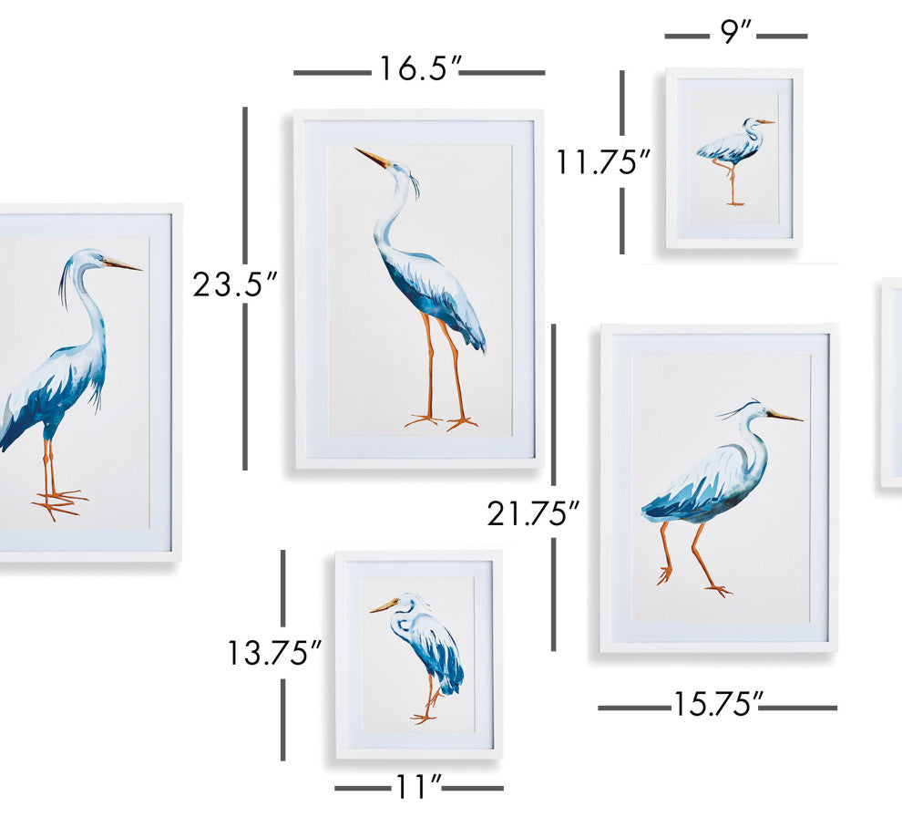 Blue Heron Gallery, Set of 6