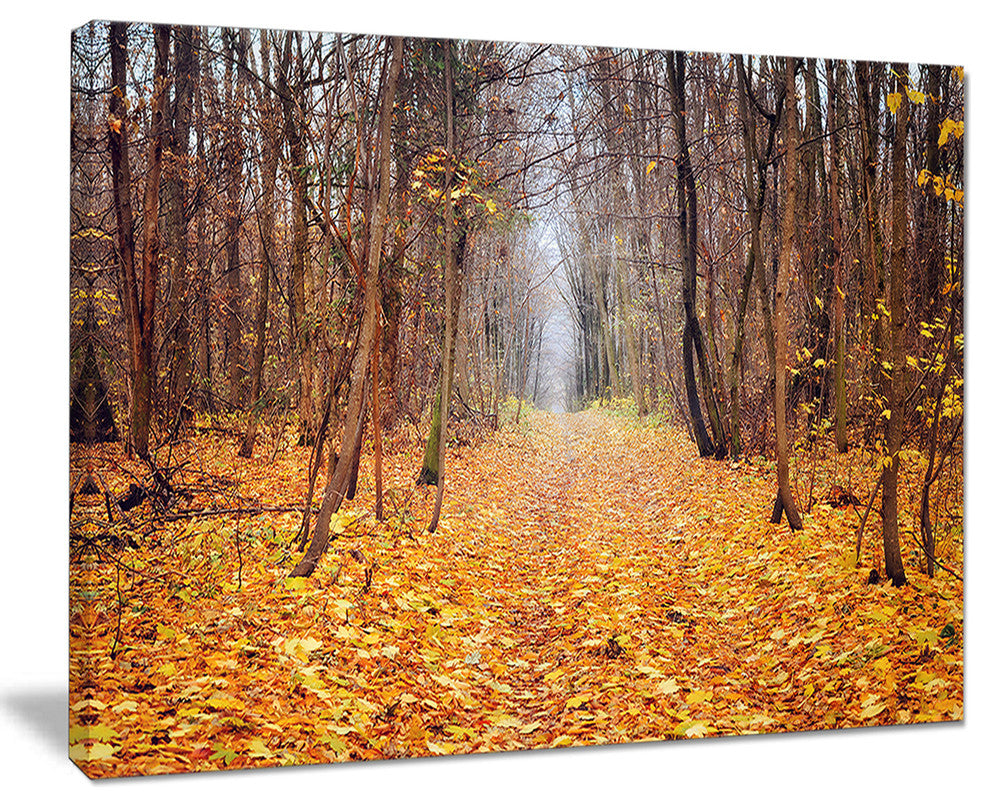 "Yellow Fallen Leaves in Morning" Landscape Photo Wall Art, 20"x12"