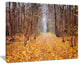 "Yellow Fallen Leaves in Morning" Landscape Photo Wall Art, 20"x12"