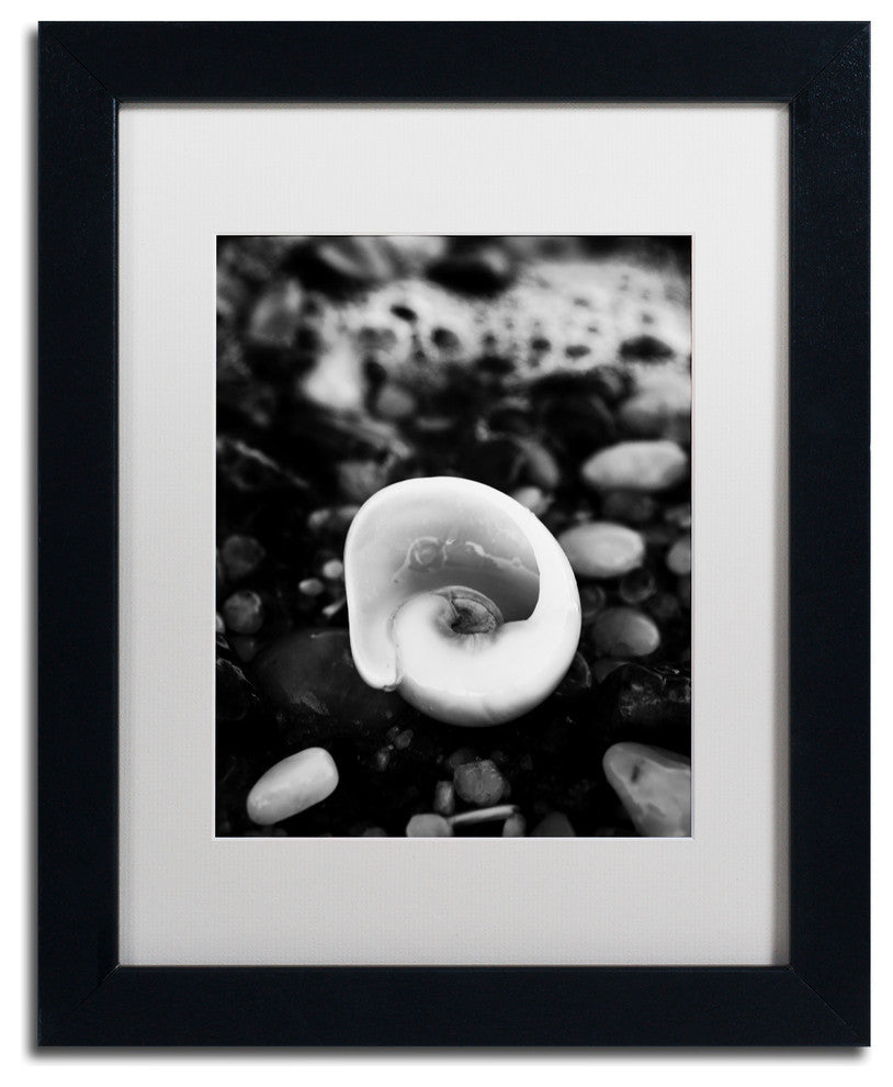 PIPA Fine Art 'Glowing Beach Shell' Matted Framed Art, 14x11