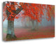 "Arboles Rojos" By Juan Antonio Palacios, Giclee Print on Gallery Wrap Canvas
