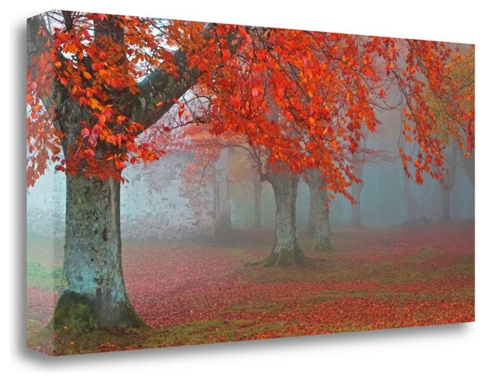 "Arboles Rojos" By Juan Antonio Palacios, Giclee Print on Gallery Wrap Canvas