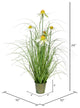 Vickerman Daisy Grass In Iron Pot, Unlit, 24"