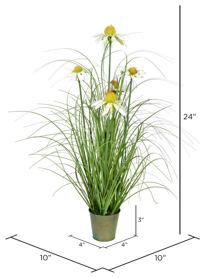 Vickerman Daisy Grass In Iron Pot, Unlit, 24"