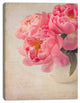 Bunch of Colorful Peony Flowers, Floral Canvas Art Print, 30"x40"