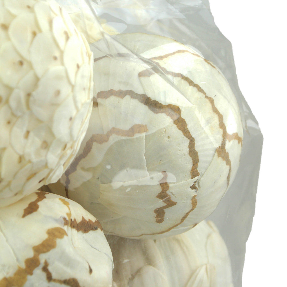 18 Piece Natural White and Brown Exotic Dried Organic Decor Balls