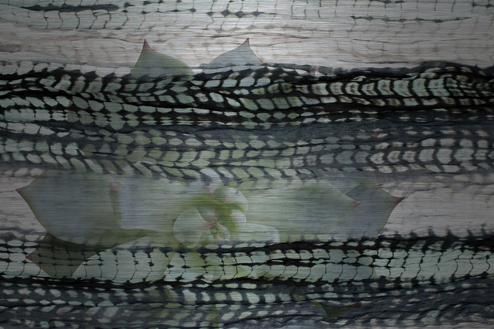 "Blending" UV Ink Print on Brushed Aluminum, 60"x40"