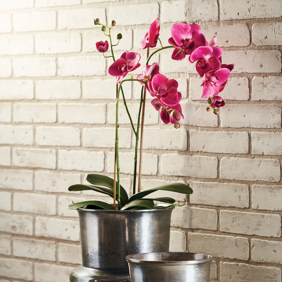 Realistic Orchid 2 Stem Drop-In, 29"