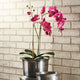 Realistic Orchid 2 Stem Drop-In, 29"