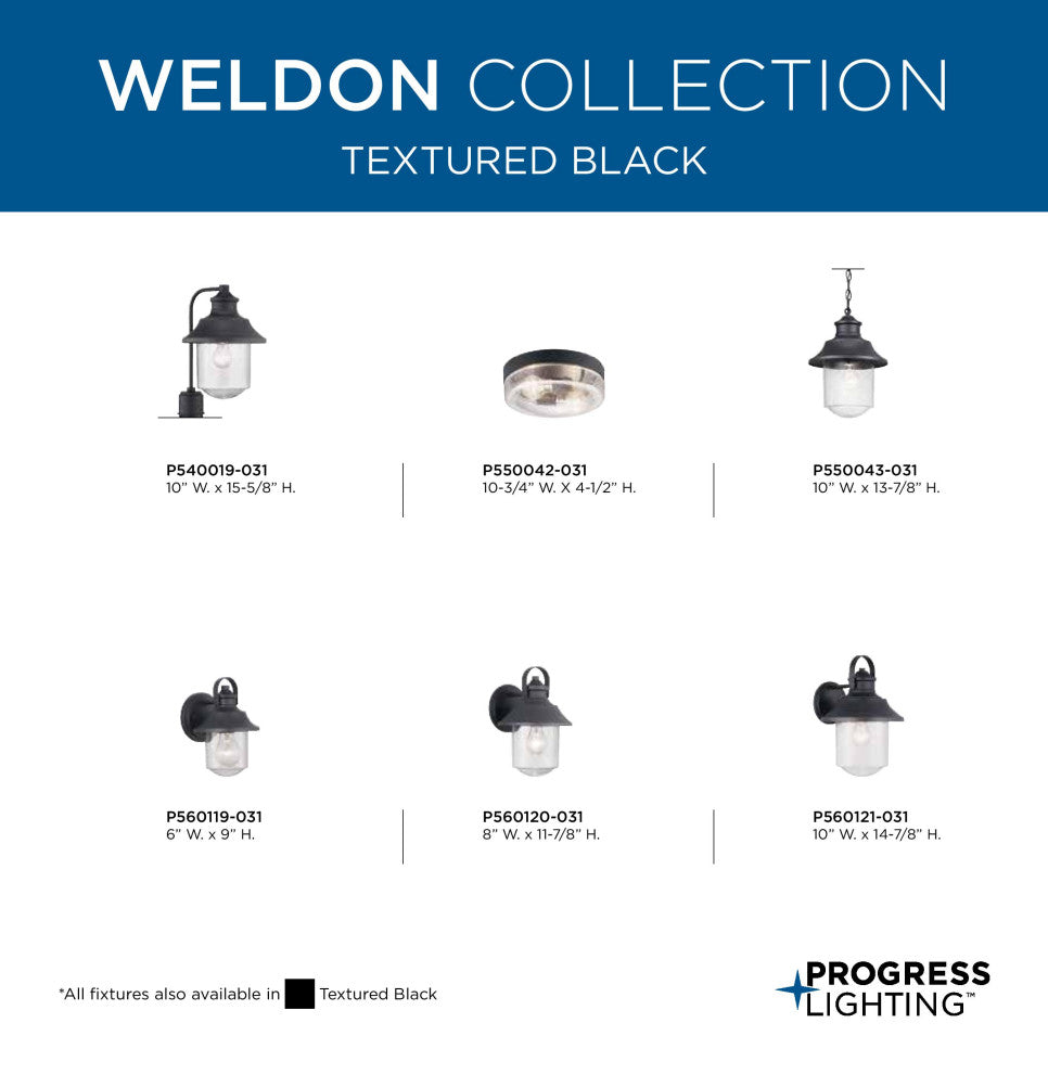 Weldon Collection 1-Light Large Wall Lantern, Black