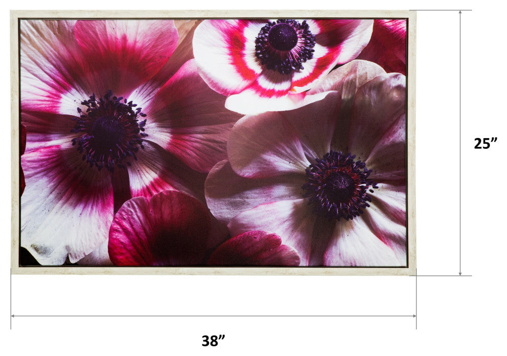 'Anemone II', 38"x25" Photo by Veronica Olson, Printed on Canvas, Framed