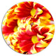 Red Yellow Flower Background Photo, Floral Disc Metal Wall Art, 23"