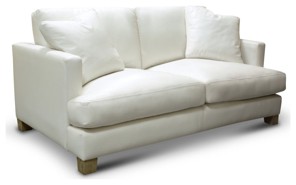 Galaxy 100% Top Grain Leather Modern Loveseat Sofa