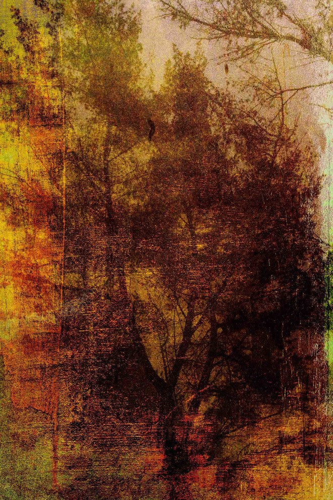 "Griffith Park VI" Painting Print on Canvas by Aryai