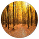 Yellow Treetops In Fall Forest, Modern Forest Disc Metal Artwork, 11"