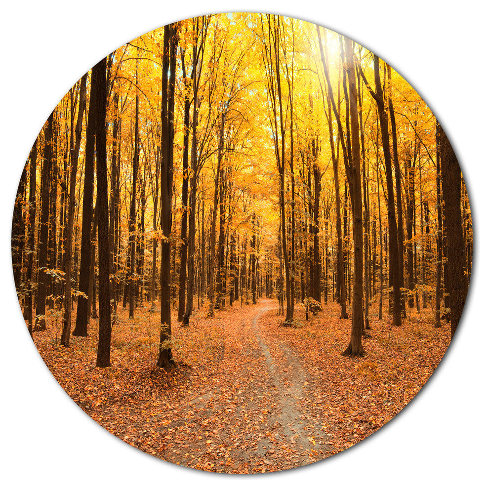 Yellow Treetops In Fall Forest, Modern Forest Disc Metal Artwork, 11"