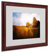 'Light in Vineyards' Matted Framed Canvas Art by Philippe Sainte-Laudy