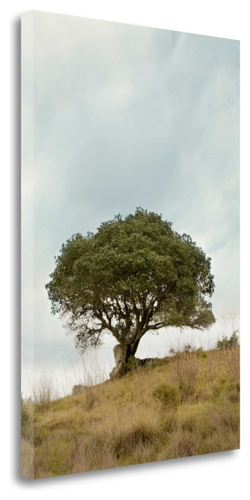 "Oak Tree - 74" By Alan Blaustein, Giclee Print on Gallery Wrap Canvas
