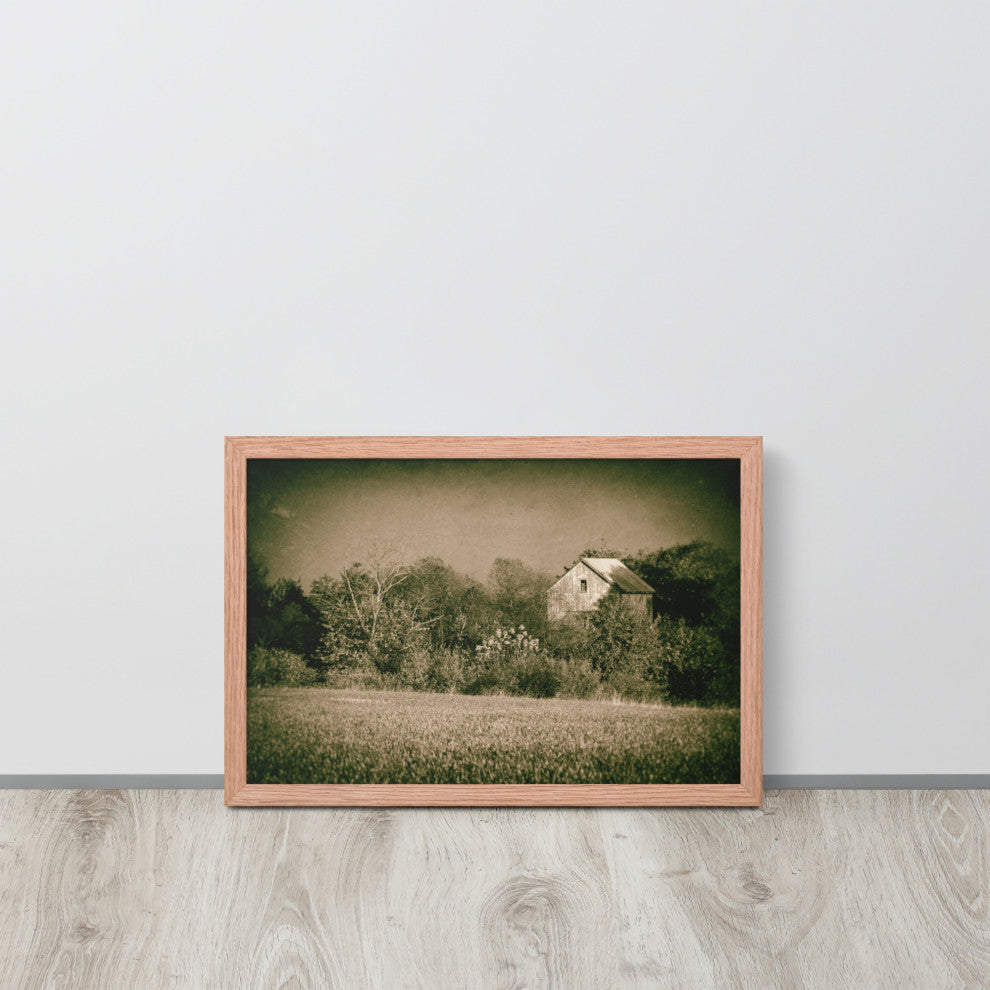 Abandoned Barn In The Trees Vintage Framed Photo Paper Wall Art Prints, Red Oak, 12" X 18"