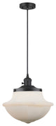 INNOVATIONS 201CSW-BK-G541-LED 1-Light Mini Pendant Matte Black