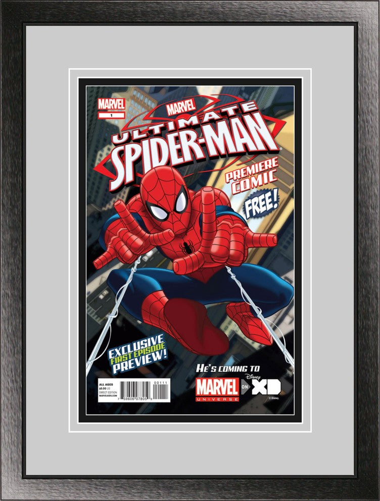 Single Comic Book Frame with Classic Moulding