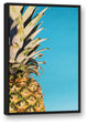 Large Pineapple Blue 24x36 Black Floating Framed Canvas