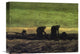 "Two Peasant Women In Peat Field" Canvas Giclee by Vincent Van Gogh, 16"x12"