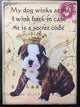 Paisley Mini Canvas, My Dog Winks At Me