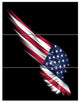 "Wing With American Flag" Digital Canvas Print, 3 Panels, 28"x36"